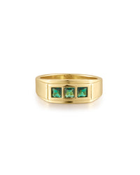 Stepdad Emerald Ring